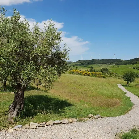 Pretty With Pool In Morieres-les-avignon Montbrun-des-Corbieres